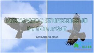 raven vs crow