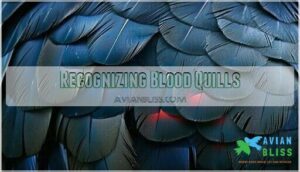 recognizing blood quills