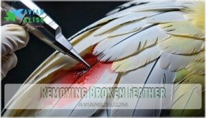 removing broken feather