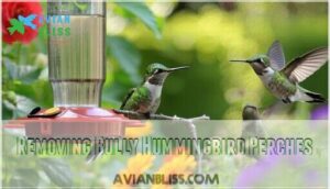 removing bully hummingbird perches
