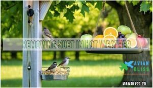 removing suet in hot weather