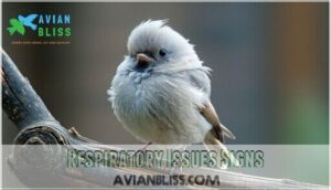 respiratory issues signs respiratory issues signs