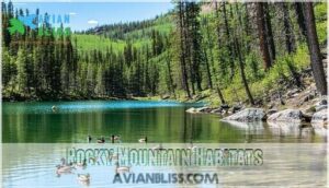 rocky mountain habitats