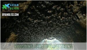 roosting behavior patterns