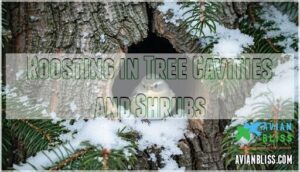 roosting in tree cavities and shrubs