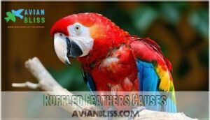 ruffled feathers causes ruffled feathers causes