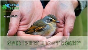 saving injured birds and recovery saving injured birds and recovery