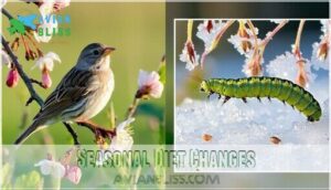 seasonal diet changes