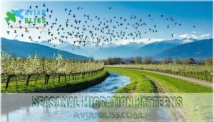 seasonal migration patterns