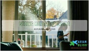 seeing movement inside