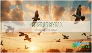 sense of smell