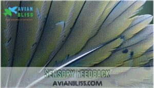 sensory feedback