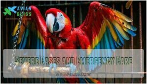 severe cases and emergency care