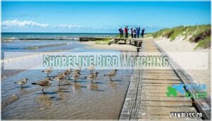 shoreline bird watching