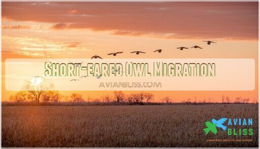 Owls in Missouri: 6 Species You Can Spot in 2025 (With Calls)