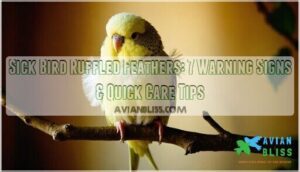 sick bird ruffled feathers sick bird ruffled feathers