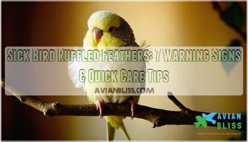 Sick Bird Ruffled Feathers: 7 Warning Signs & Quick Care Tips