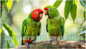 significance of head bobbing behavior