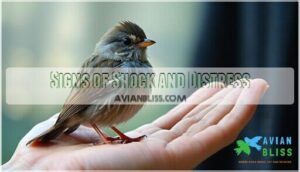 signs of shock and distress