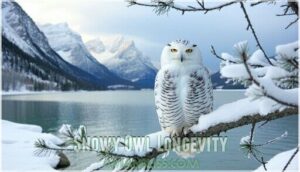 snowy owl longevity