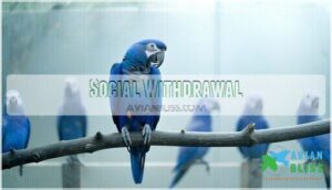 social withdrawal