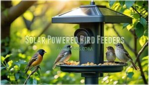 solar powered bird feeders