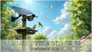 solar powered camera feeders