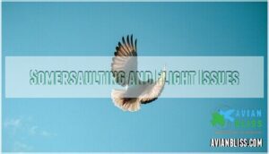 somersaulting and flight issues