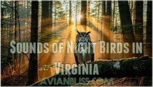 sounds of night birds in virginia
