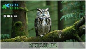 speckled owl