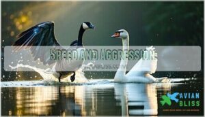 speed and aggression