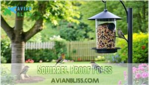 squirrel proof poles squirrel proof poles