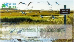 state and local classifications