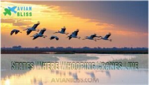 states where whooping cranes live