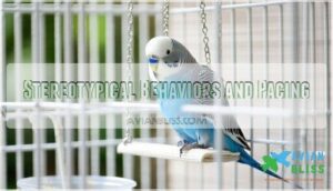 stereotypical behaviors and pacing