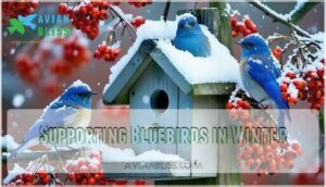 supporting bluebirds in winter