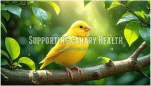 supporting canary health