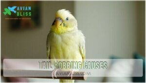 tail bobbing causes