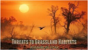 threats to grassland habitats