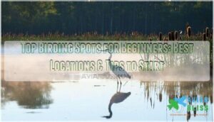 top birding spots for beginners