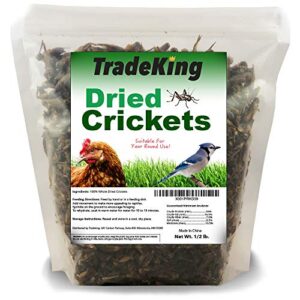 TradeKing Natural Dried Crickets, Food B07B8DNYC5