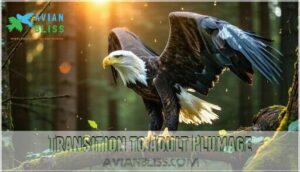 transition to adult plumage