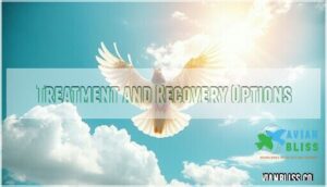 treatment and recovery options