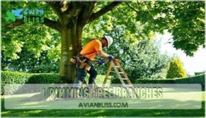 trimming tree branches