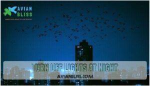 turn off lights at night