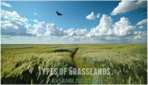 types of grasslands
