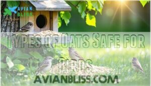 types of oats safe for birds