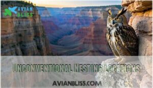 unconventional nesting locations