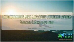understanding bird migration patterns better