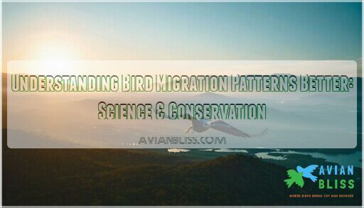 Understanding Bird Migration Patterns Better: Science & Conservation